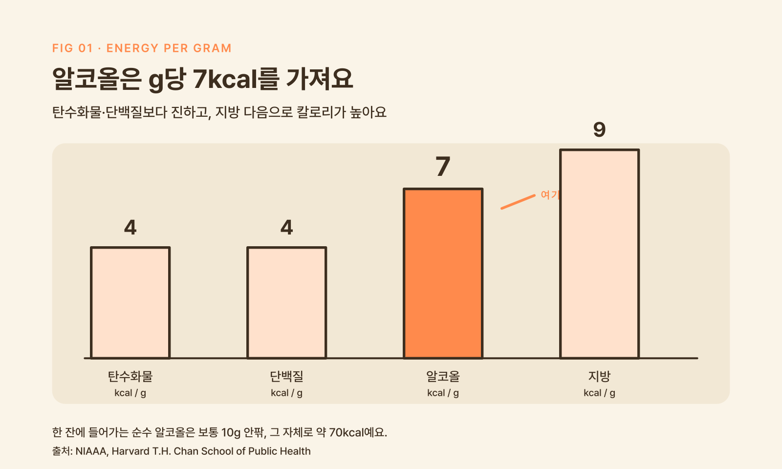 visual_1.png
