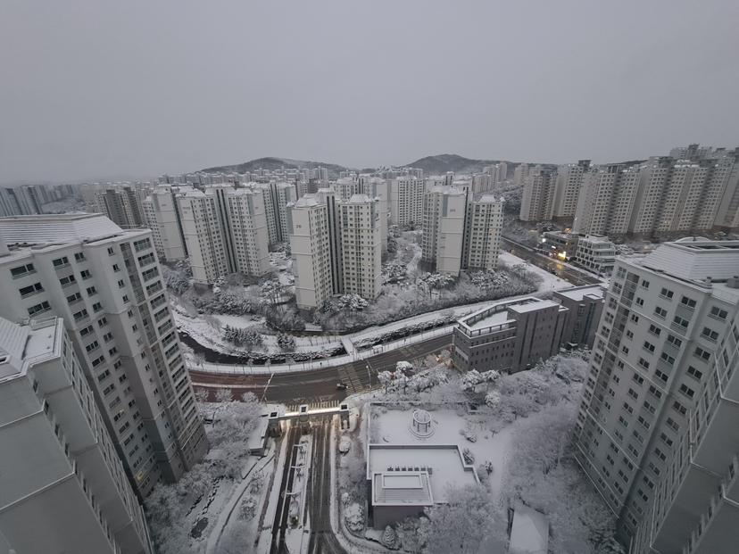 feed image