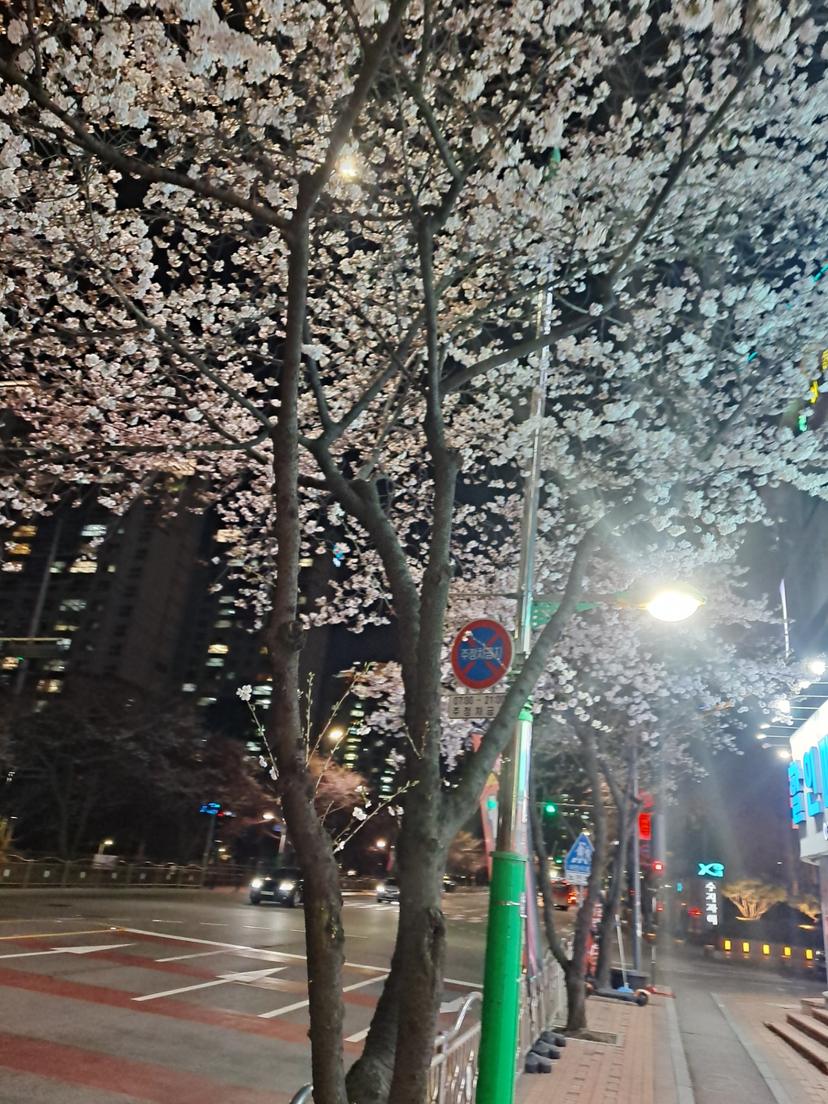 feed image