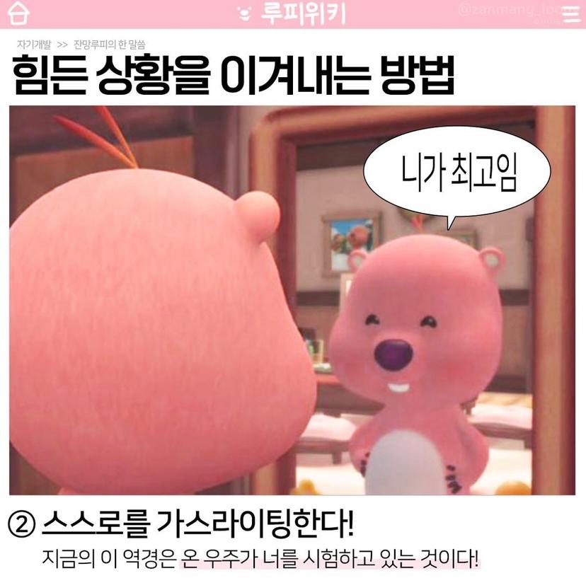 feed image
