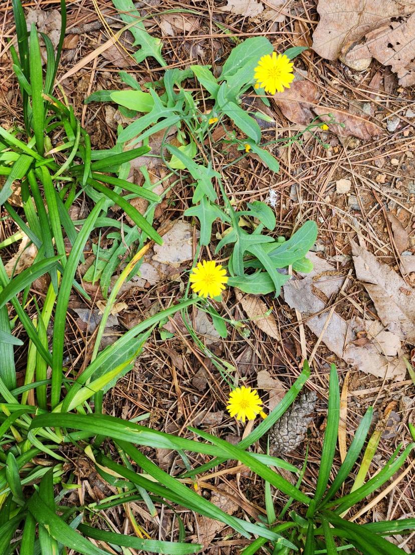 feed image