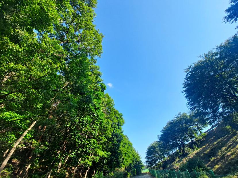 feed image