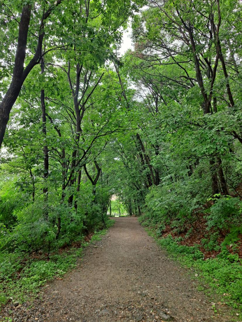 feed image