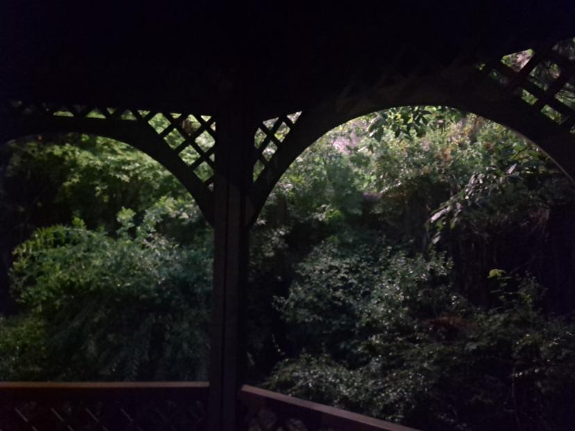 feed image