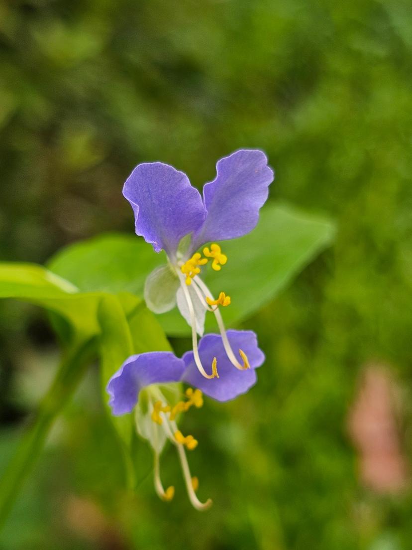 feed image
