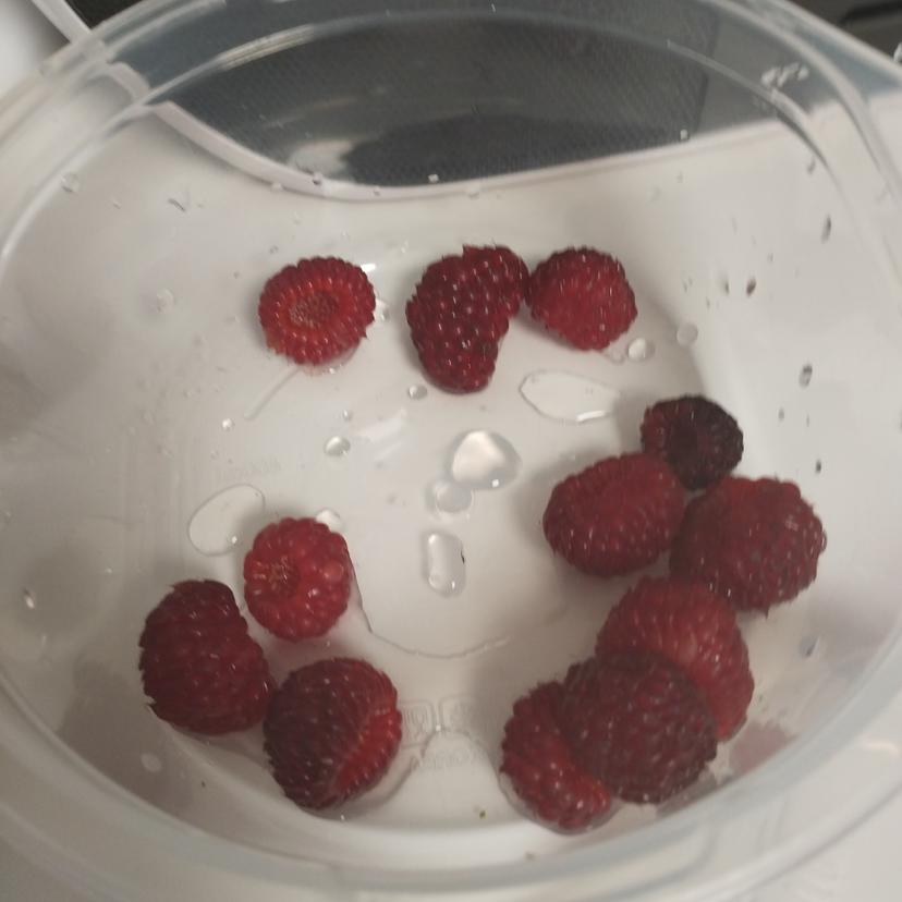 feed image