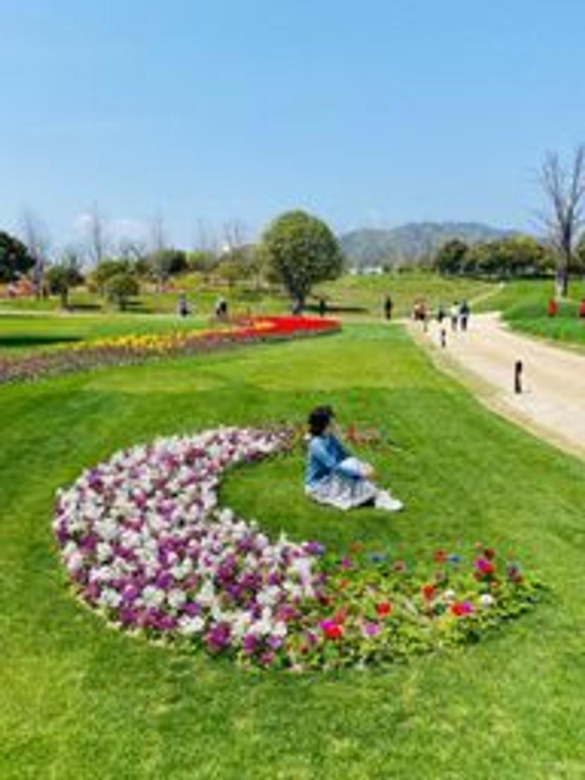 쿼카킁카킁카