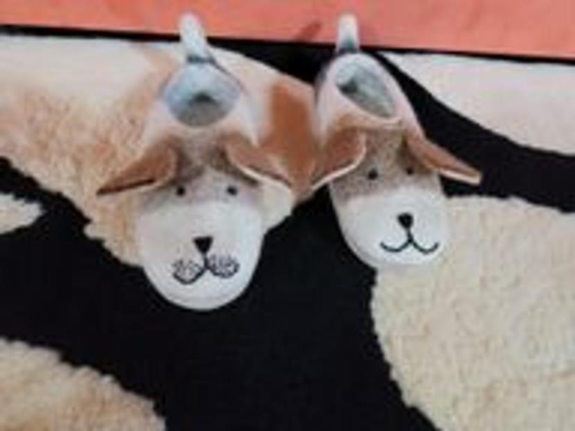 예쁘장한무당벌레