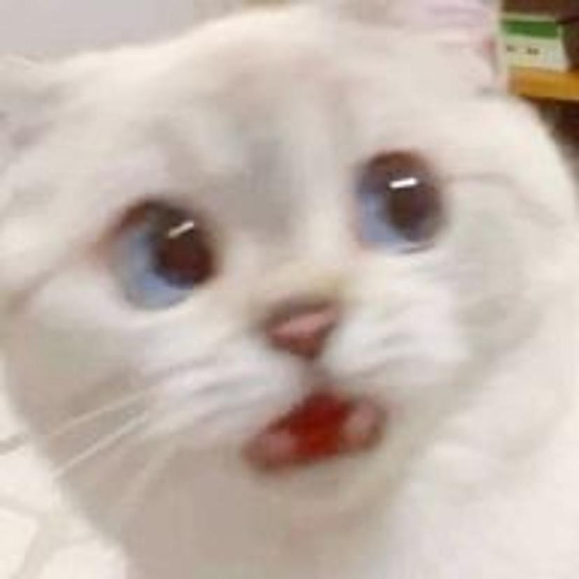 골로가는칼슘두유