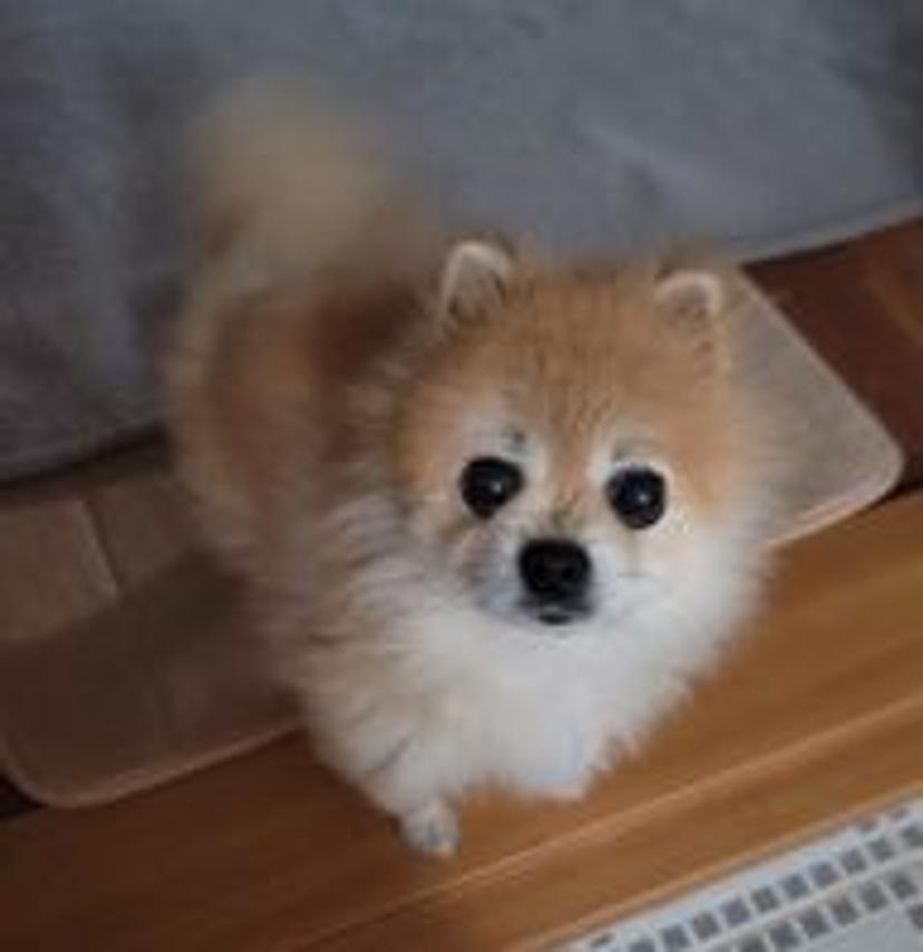 빨대사절