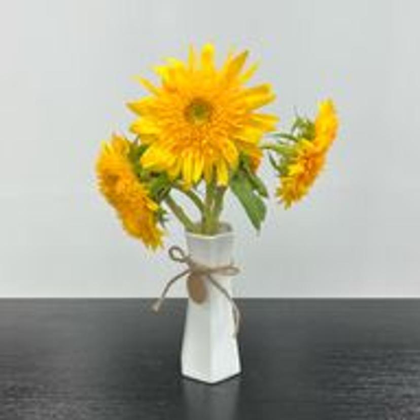 발담그면넓은숲