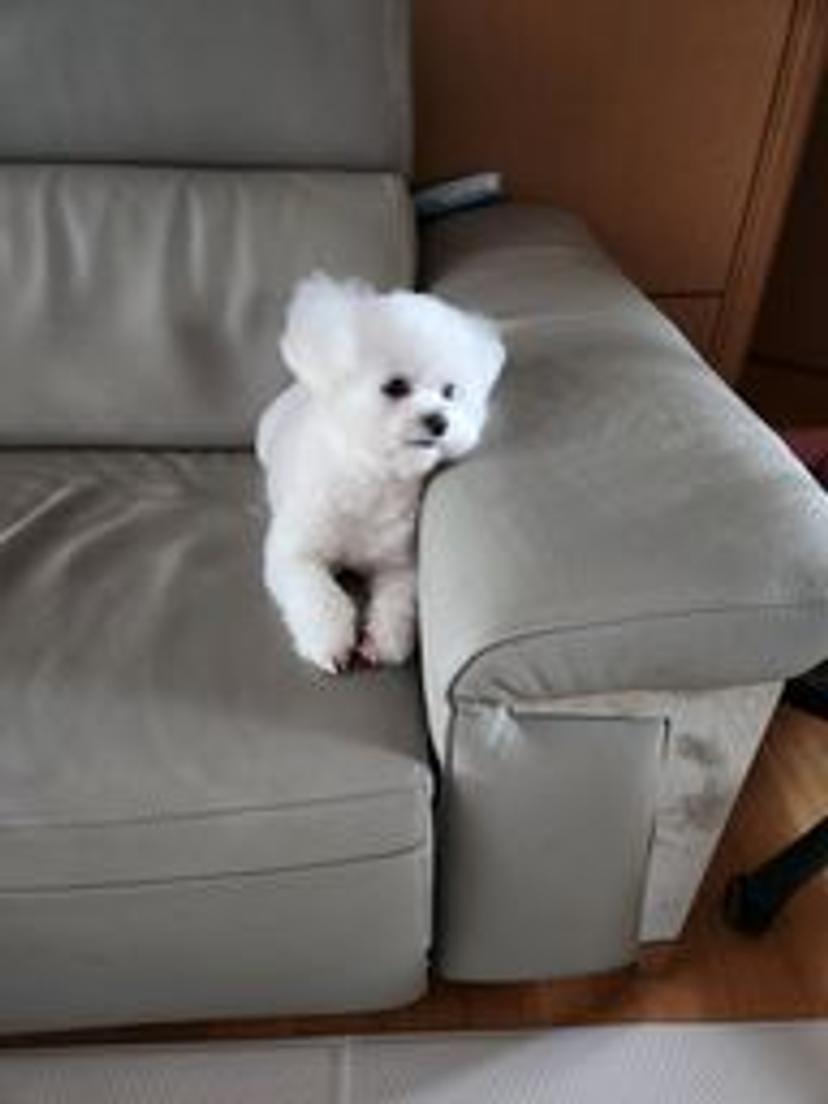 잡초보호