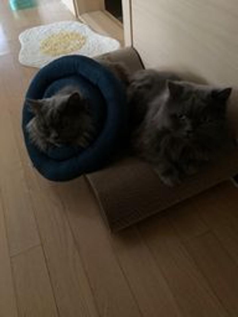 떡근님